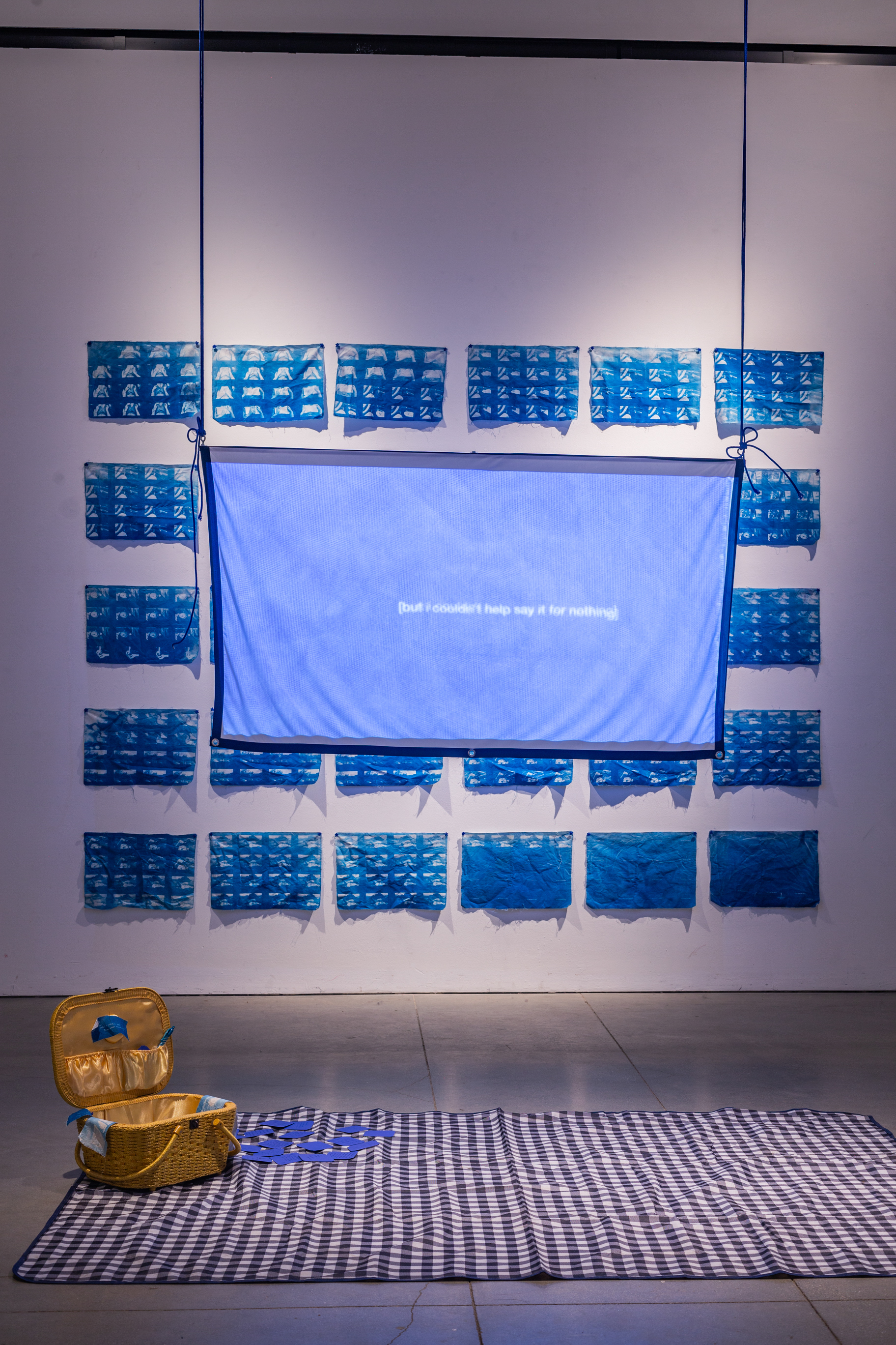 A rug sits on the floor, in the center a projector screen with visuals on it hangs from the air. Behind the screen is a white wall, with printed cyanotypes.